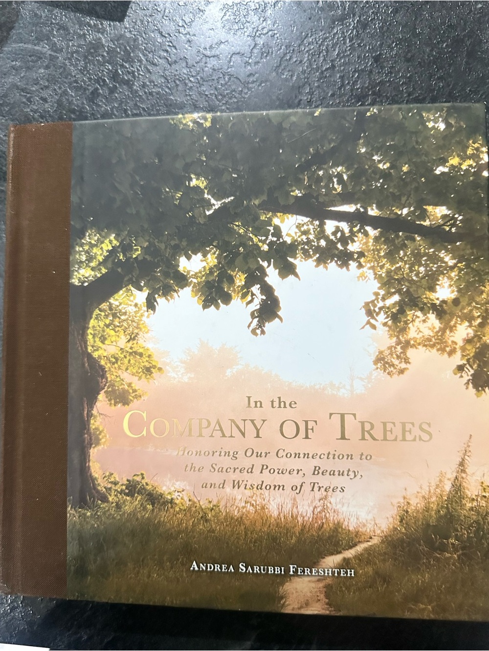 In the Company of Trees Hardcover Book